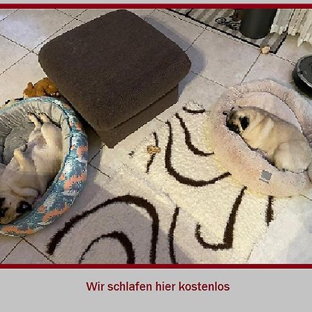 Stadt-Gut-Hotel Rheinischer Hof إسن المظهر الخارجي الصورة